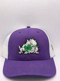 TCU Super Frog Ireland Trucker Hat